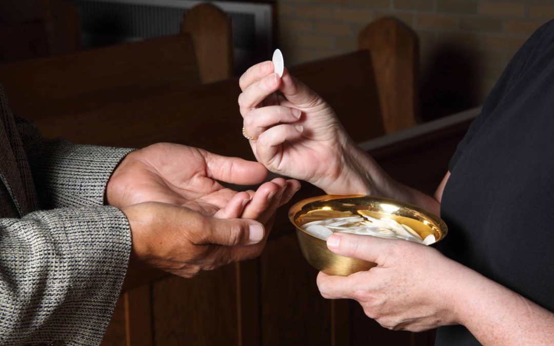 EMHC Training Opportunity