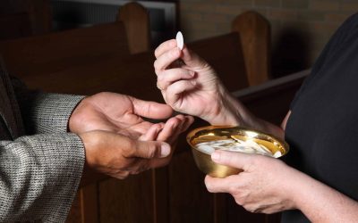 EMHC Training Opportunity